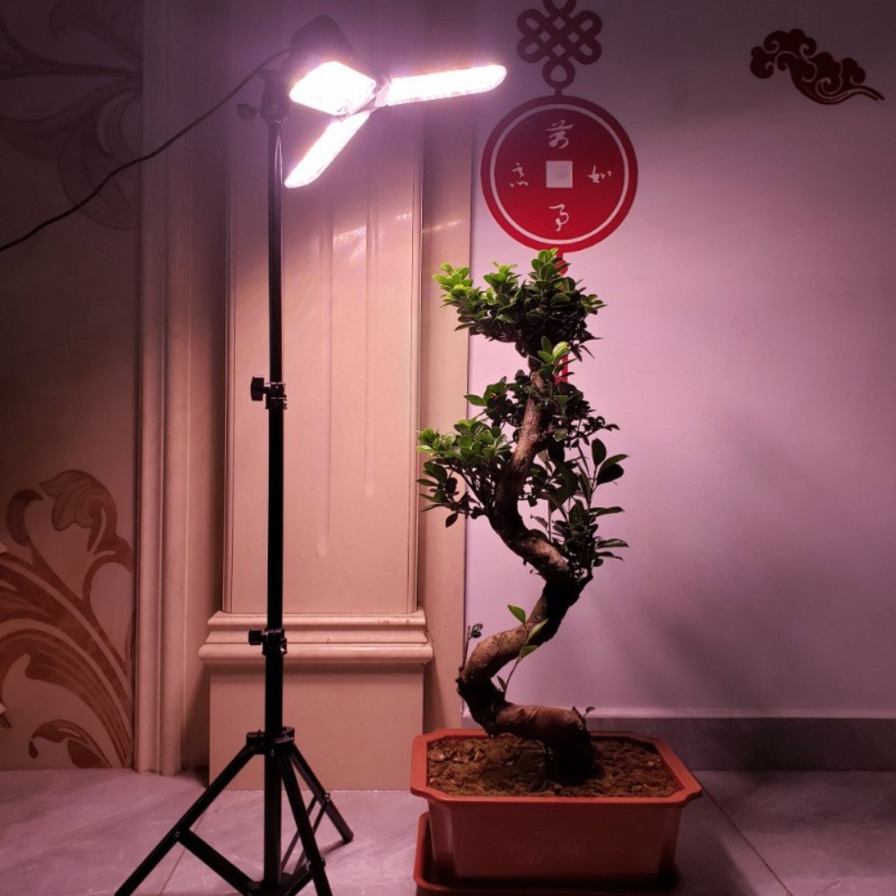 Statif Lampu 2M, Soket AC E27  - Photography Lighting Mount ulasan dan harga